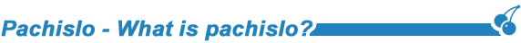 What is pachislo
